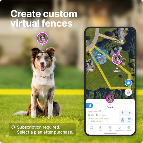 GPS Wireless Dog Fence & Training Collar with Tracker, Waterproof, Small W880