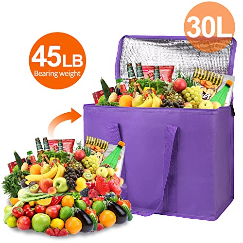 Insulated Food Delivery Bag Hot Cold Meal Carrier Cooler Tote K646948