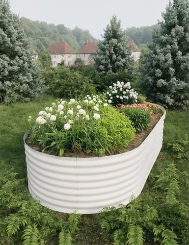 Galvanized Raised Garden Bed for Vegetables, Flowers, Outdoor D165