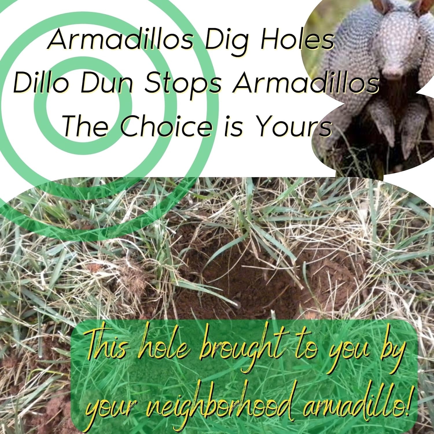 Armadillo Repellent Spray for Yard, Gardens and Flower Beds X7274