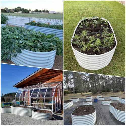 Galvanized Raised Garden Bed Oval Metal Planter Box for Vegetables Flowers A9593