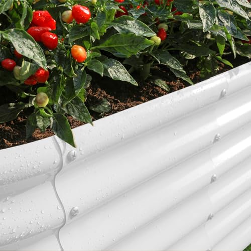 Galvanized Raised Garden Bed Kit, Oval Metal Planter Box for Vegetables E707229