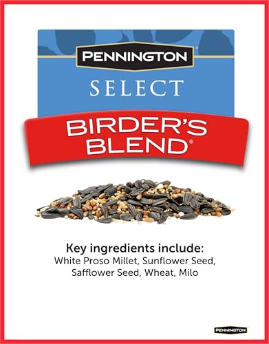 Wild Bird Seed for Outside Feeders, High-Protein, No-Waste, 15-lb Bag F570741