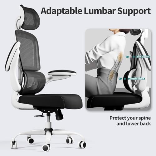 Ergonomic Mesh Office Chair with Wheels, High Back, 330 LBS Capacity C667113