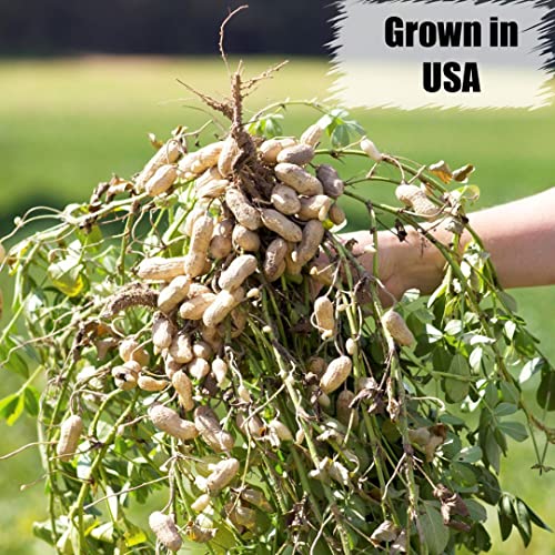 Wildlife Shelled Peanuts, 10 lbs for Birds and Squirrels Y354