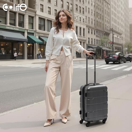 PC+ABS Spinner Suitcase with TSA Lock, 20in Carry-On Q530