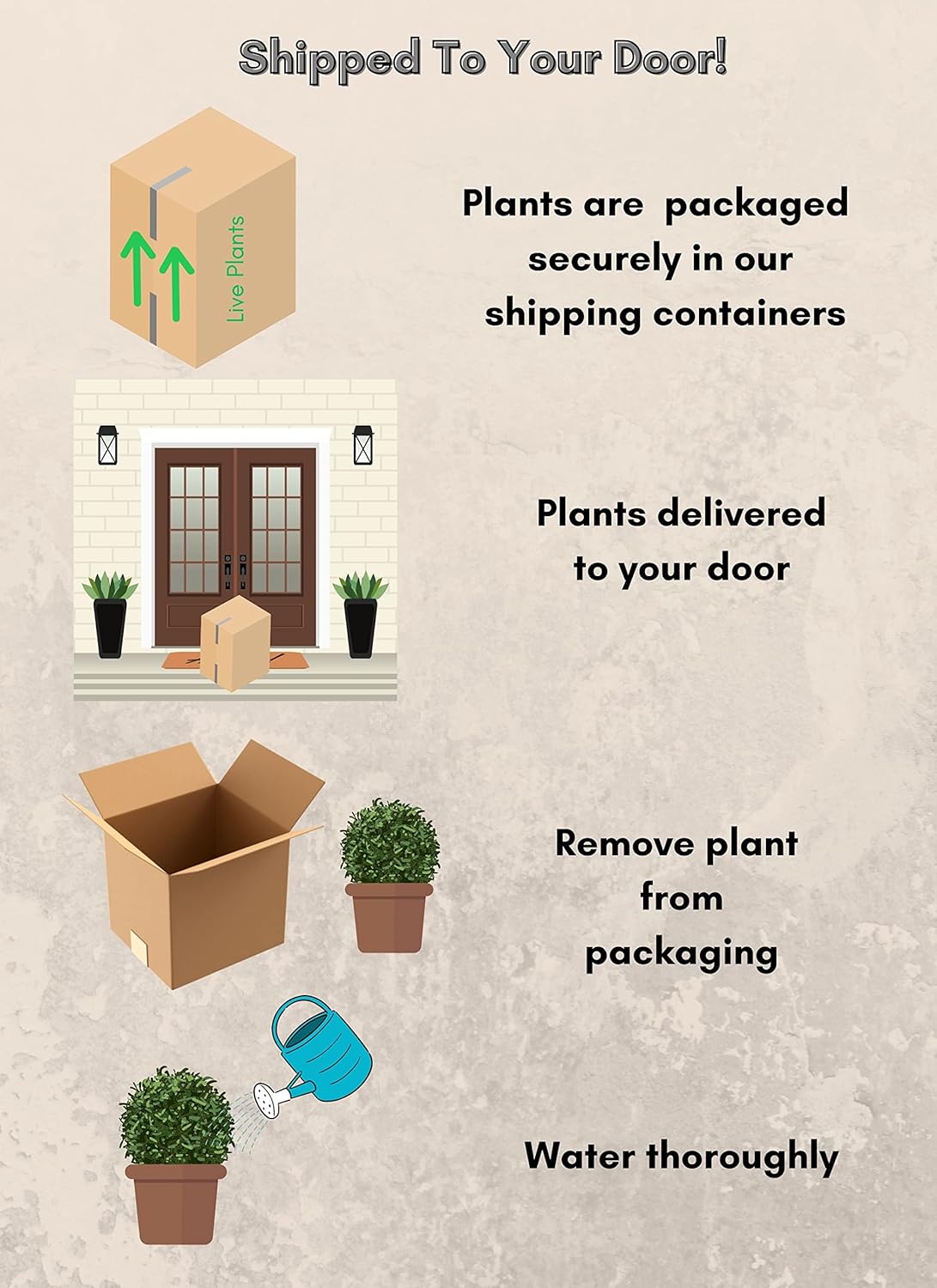 Autumn Royalty Azalea 2 Gal, Purple Blooms W333