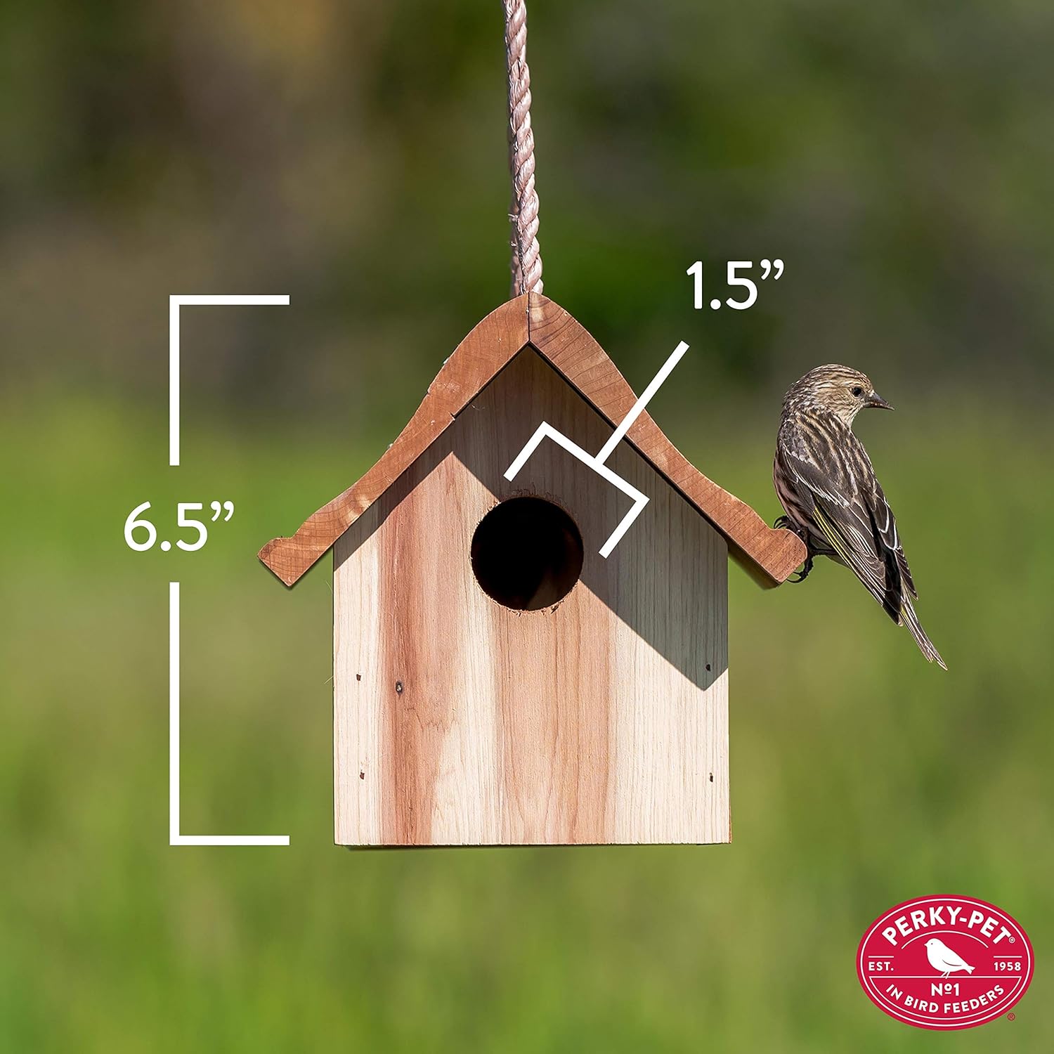 Wren Birdhouse R492