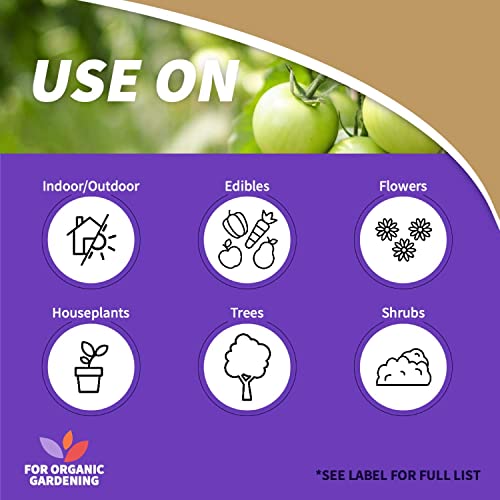 Neem Oil Spray, 32 oz, Multi-Purpose Fungicide and Insecticide Z27315