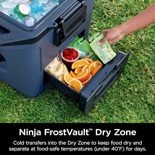 50qt Hard Cooler with Dry Zone Insulated Storage K64179