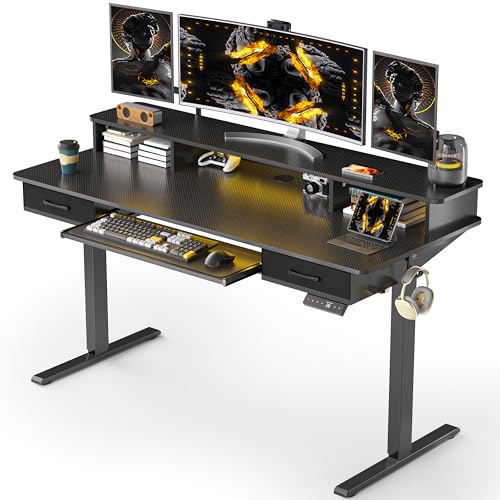 Electric Standing Desk with 2 Drawers, Height Adjustable for Home Office B137