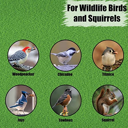 Wildlife Shelled Peanuts, 10 lbs for Birds and Squirrels Y354