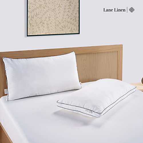 Bed Pillows King Size Set of 2 - Soft Gusseted Pillow for Sleepers - Down Alternative - White N2389