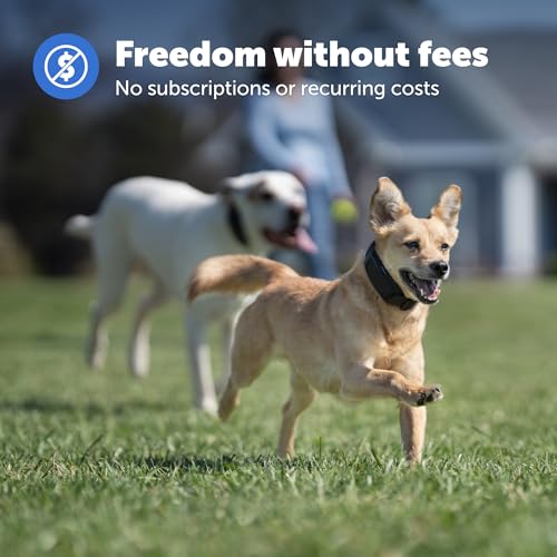 GPS Dog Fence for Yards 3/4 Acres or Larger, Wireless Collar System Y91842