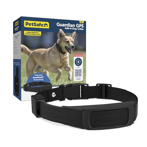 GPS Dog Fence for Yards 3/4 Acres or Larger, Wireless Collar System Y91842