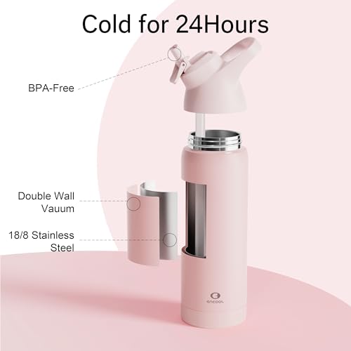 Insulated Stainless Steel Water Bottle with Straw, 24 oz X205853