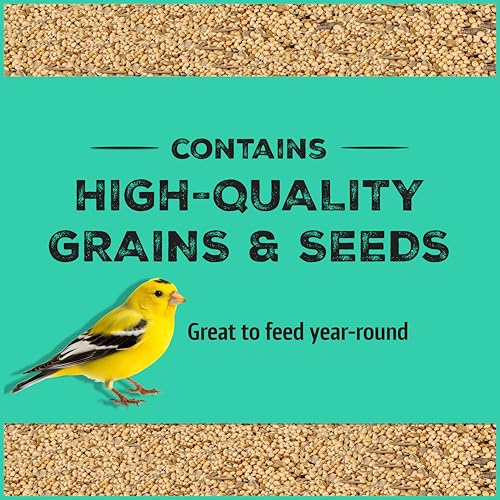 Wild Bird Seed for Outside Feeders, High-Protein, No-Waste, 15-lb Bag F570741