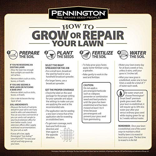Annual Ryegrass for Overseeding Warm Season Lawns, 10 lb Y82382
