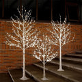 Lighted Birch Tree Set 4ft, 6ft and 8ft with Warm White LED Lights for Holiday Decor - Realistic Design, UL Certified, Dimmable, Waterproof - Ideal for Indoor and Outdoor Decoration