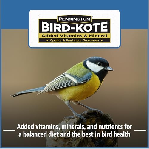 Wild Bird Seed for Outside Feeders, High-Protein, No-Waste, 15-lb Bag F570741