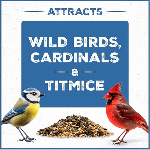 Wild Bird Seed for Outside Feeders, High-Protein, No-Waste, 15-lb Bag F570741