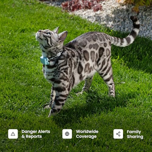 GPS Cat Tracker with Real-Time Location and Activity Monitoring H6422