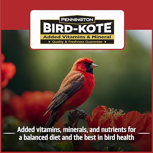 Wild Bird Seed for Outside Feeders, High-Protein, No-Waste, 15-lb Bag F570741