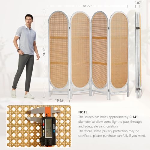 Foldable Wooden Room Divider with Hand-Woven Rattan Panels X6131