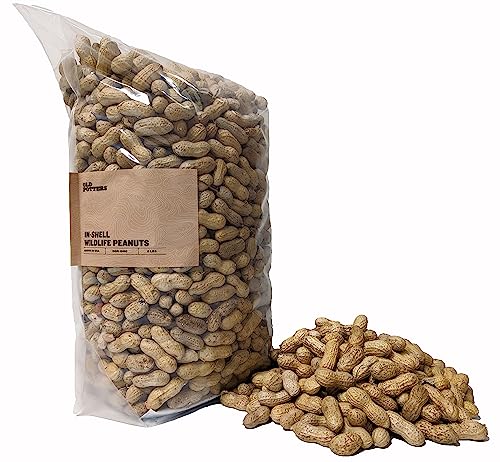 Wildlife Shelled Peanuts, 10 lbs for Birds and Squirrels Y354