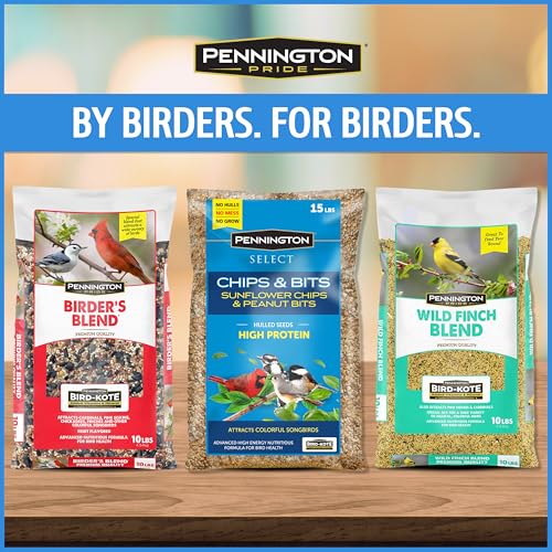 Wild Bird Seed for Outside Feeders, High-Protein, No-Waste, 15-lb Bag F570741