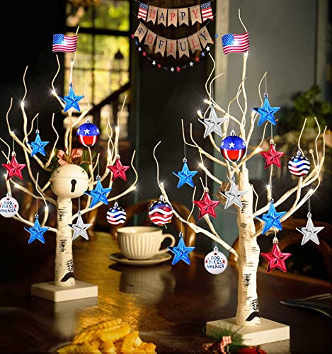 Lighted Birch Tree, 4ft 48LED, Indoor Outdoor Artificial Twig Tree with Timer R4725