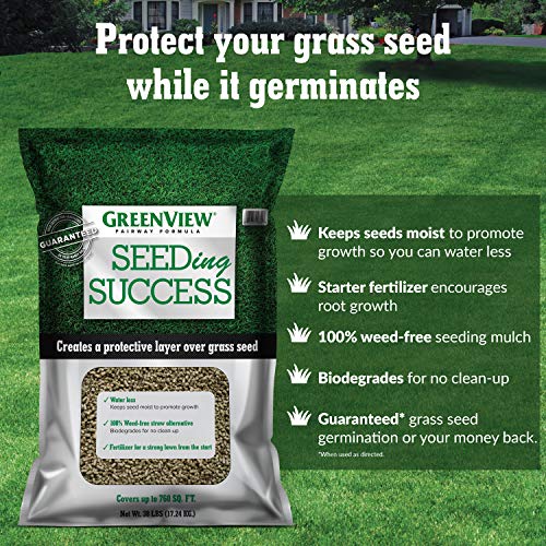 Tall Fescue Grass Seed Sun & Shade Blend, 3 lbs J422