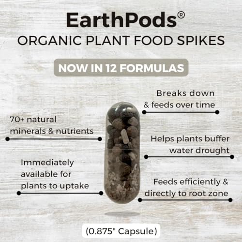 Succulent Plant Food Spikes for Indoor Potted Plants J691
