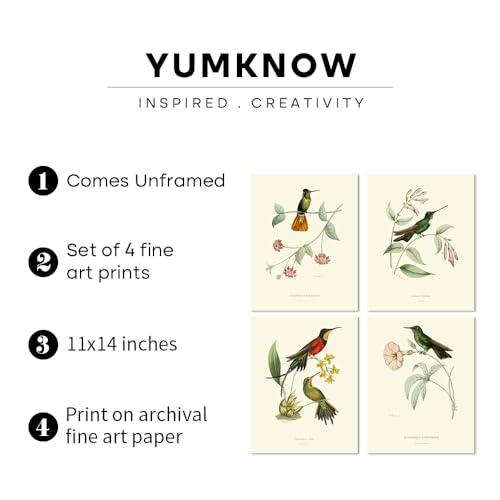 Hummingbird Botanical Flower Wall Art Poster W529066