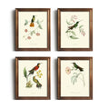 Vintage Bird Wall Art - Hummingbird Pictures for Wall - France Country Botanical Flower Poster - Beige Wall Decor for Bedroom Bathroom Cottagecore - Lovebird Sparrow Audubon Print - Green Tree Floral