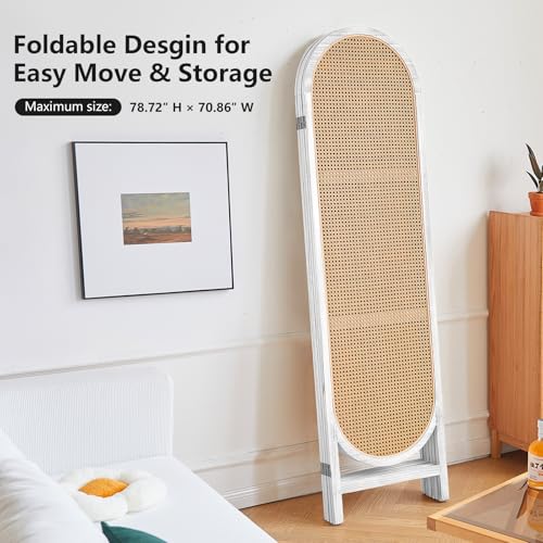 Foldable Wooden Room Divider with Hand-Woven Rattan Panels X6131