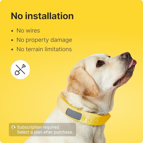 GPS Wireless Dog Fence & Training Collar with Tracker, Waterproof, Small W880