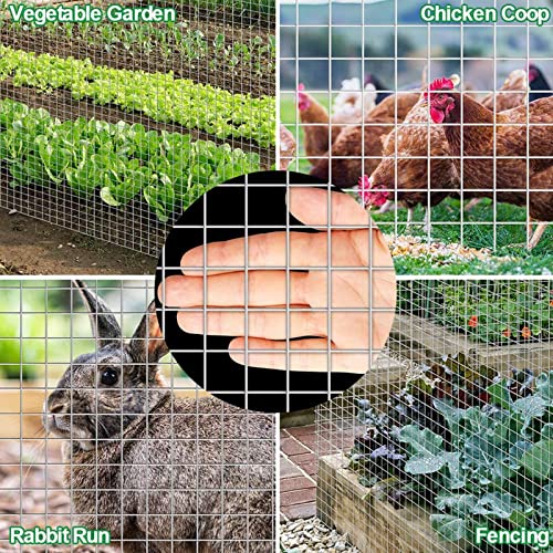 Galvanized Chicken Wire Mesh for Gardening and Poultry Fence I315