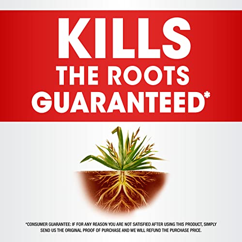 Weed and Grass Killer Concentrate, 64 oz. I1411