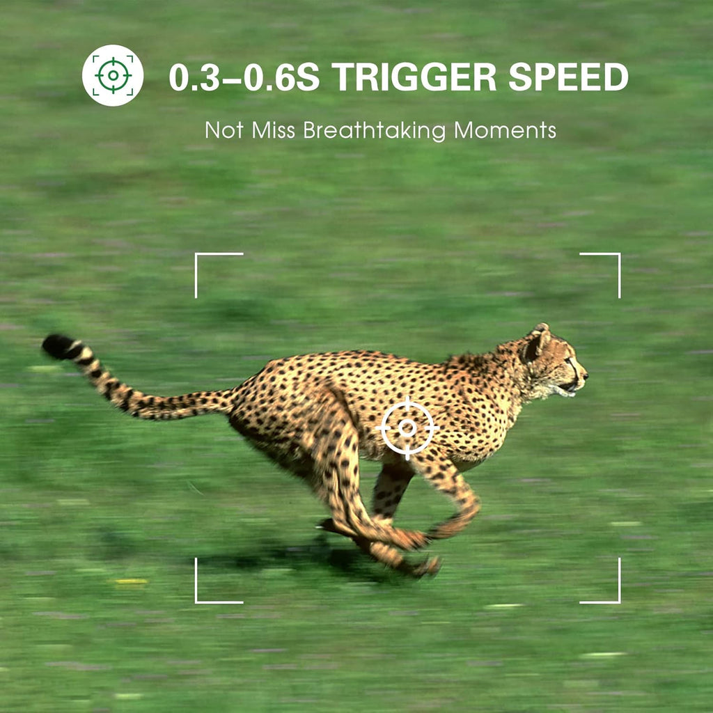 Trail and Game Camera with Night Vision, Motion Activated D129