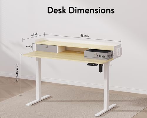 Electric Standing Desk with 2 Drawers, Height Adjustable for Home Office B137