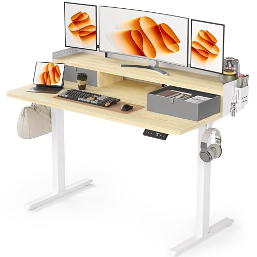 Electric Standing Desk with 2 Drawers, Height Adjustable for Home Office B137