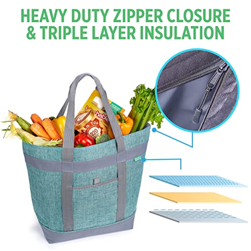 Insulated Cooler Bag with Thermal Insulation, Collapsible Y5679