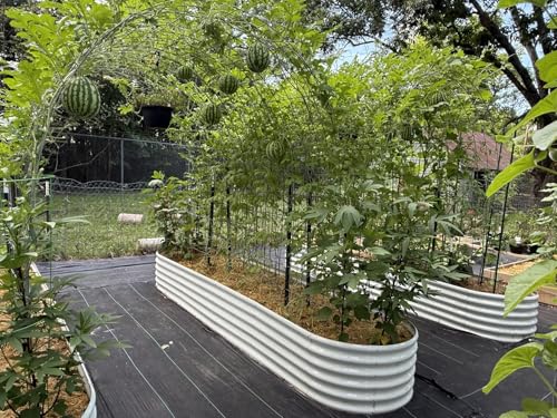 Galvanized Raised Garden Bed Oval Metal Planter Box for Vegetables Flowers A9593