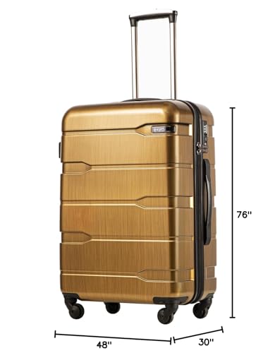 PC+ABS Spinner Suitcase with TSA Lock, 20in Carry-On Q530
