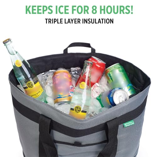 Insulated Cooler Bag with Thermal Insulation, Collapsible Y5679