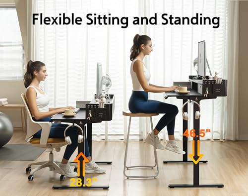 Electric Standing Desk with 2 Drawers, Height Adjustable for Home Office B137