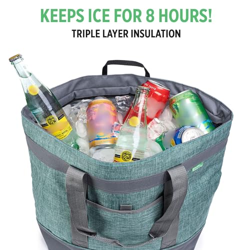 Insulated Cooler Bag with Thermal Insulation, Collapsible Y5679