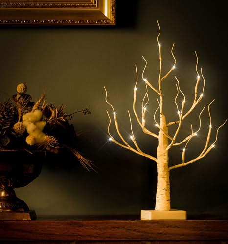 Lighted Birch Tree, 4ft 48LED, Indoor Outdoor Artificial Twig Tree with Timer R4725