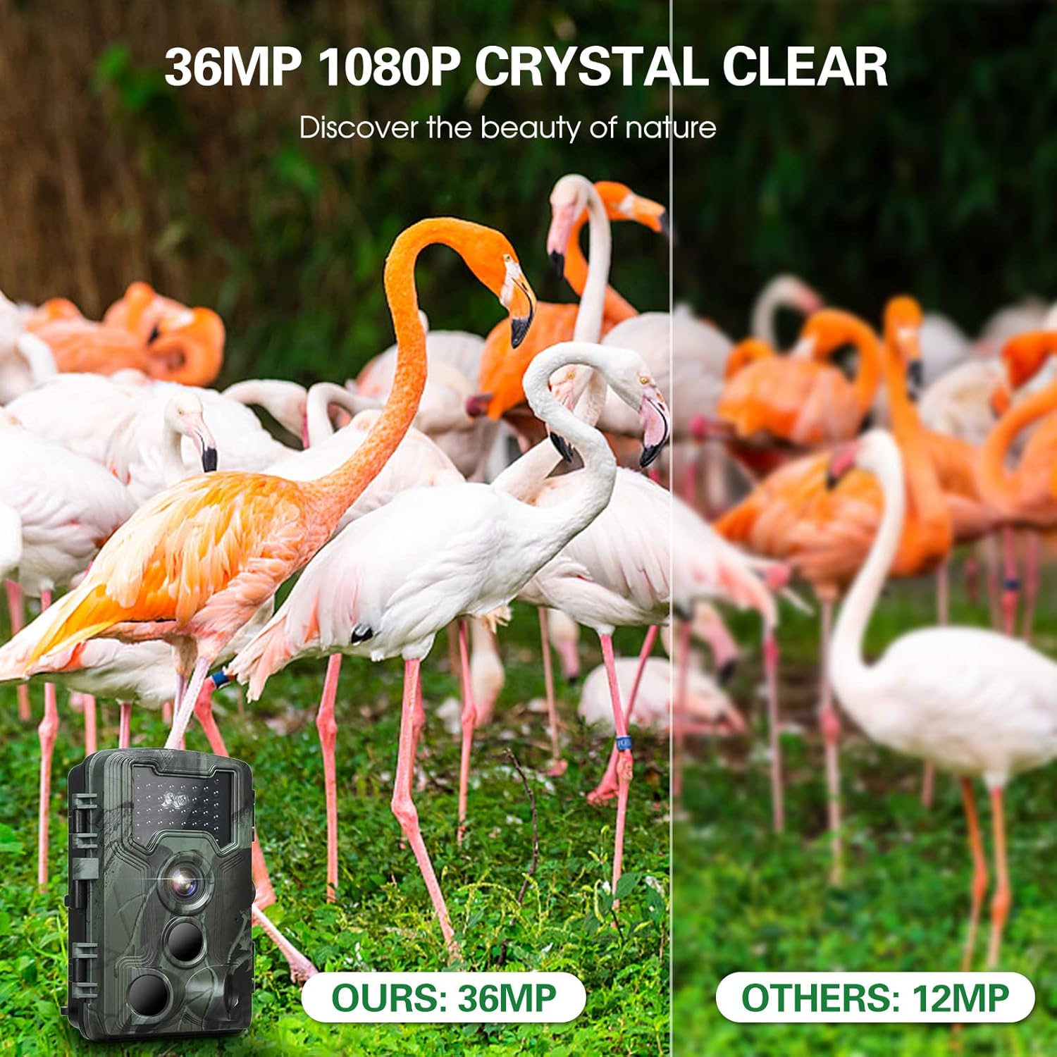 Trail and Game Camera with Night Vision, Motion Activated D129